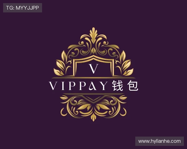 了解VipPay钱包